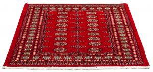 Tappeto Pakistan Bukara 180x123cm prospettiva-5837