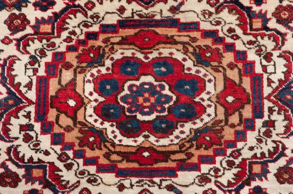 Tappeto-Russo-Shirvan-267x156-cm-Dettaglio