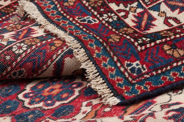 Tappeto-Russo-Shirvan-267x156-cm-Dettaglio