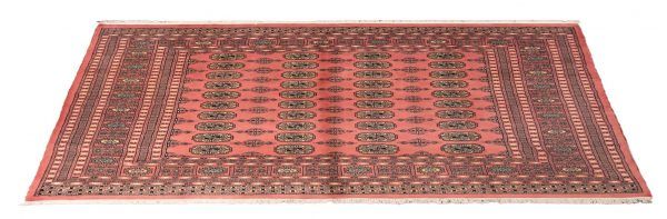 Tappeto Pakistano Bukara 203x196cm Prospettiva