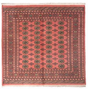 Tappeto Pakistano Bukara 203x196cm Alto