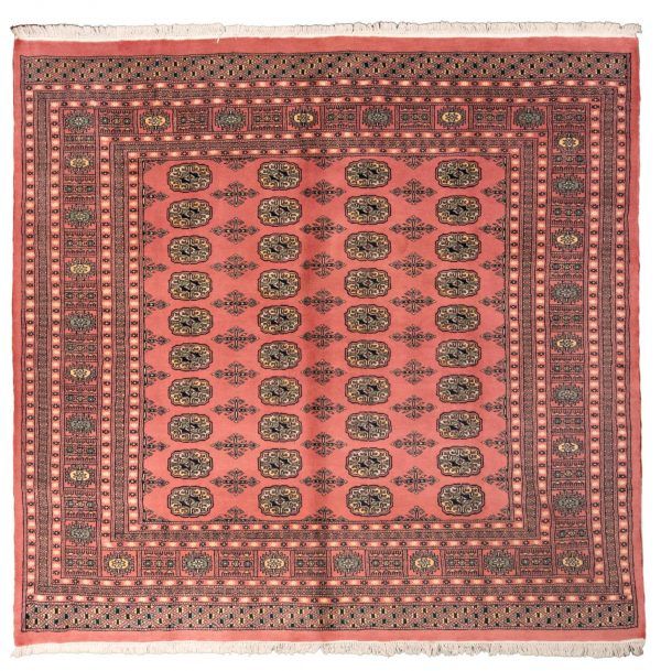 Tappeto Pakistano Bukara 203x196cm Alto