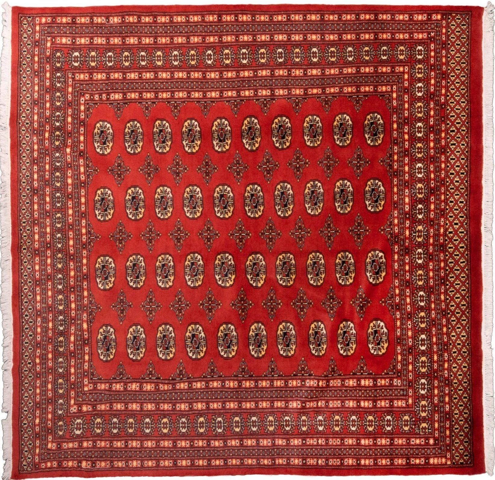 Tappeto Pakistano Bukara 201x200cm Alto