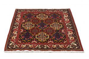 Tappeto Persiano Baktiary 157x108cm Prospettiva