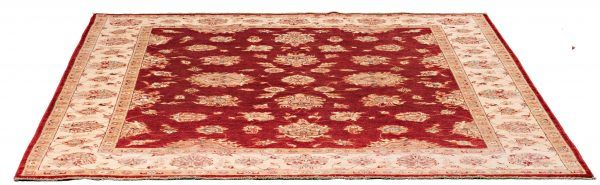 Tappeto Afgano Chobi Extra 249x205cm Prospettiva