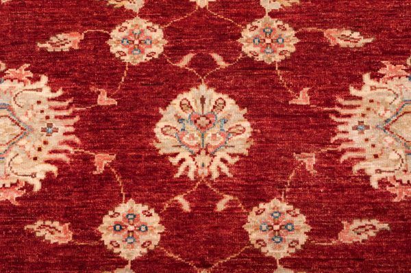Tappeto Afgano Chobi Extra 249x205cm Dettaglio