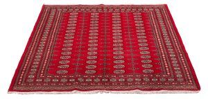 Tappeto Pakistan Mori Bukara 299x200cm Prospettiva