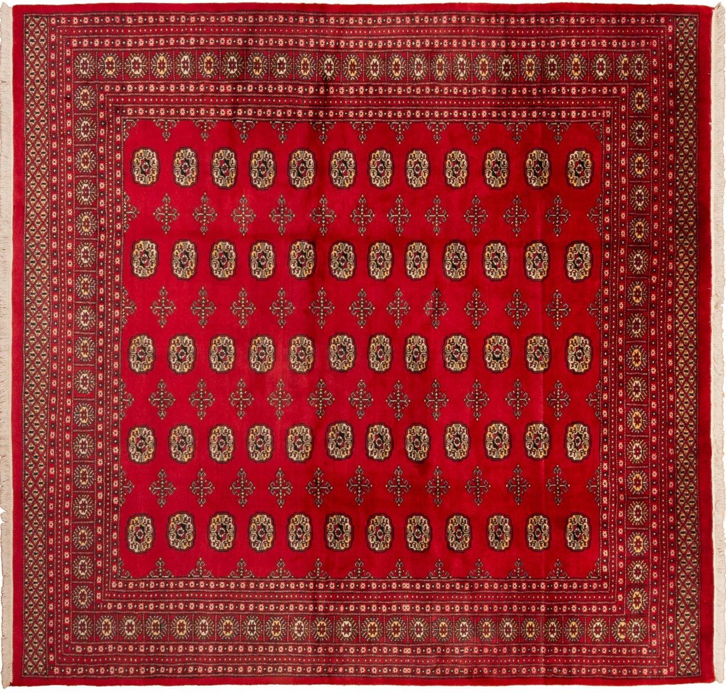 Tappeto Pakistan Mori Bukara 257x247 cm Alto