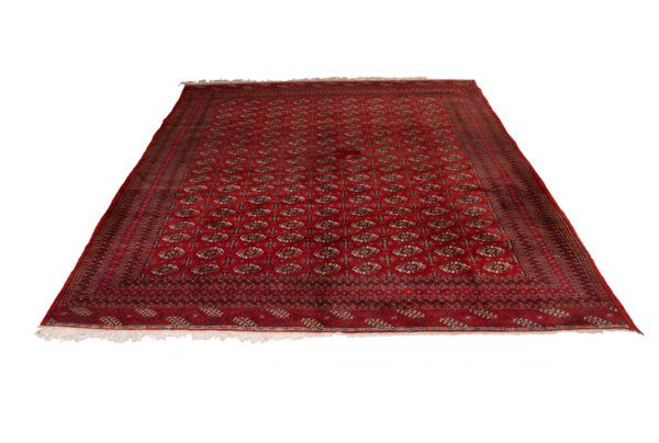 Tappeto Pakistan Bukara Kashmir 395x285cm -Refurbished- Prospettiva