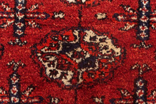 Tappeto Pakistan Bukara Kashmir 395x285cm -Refurbished- Dettaglio