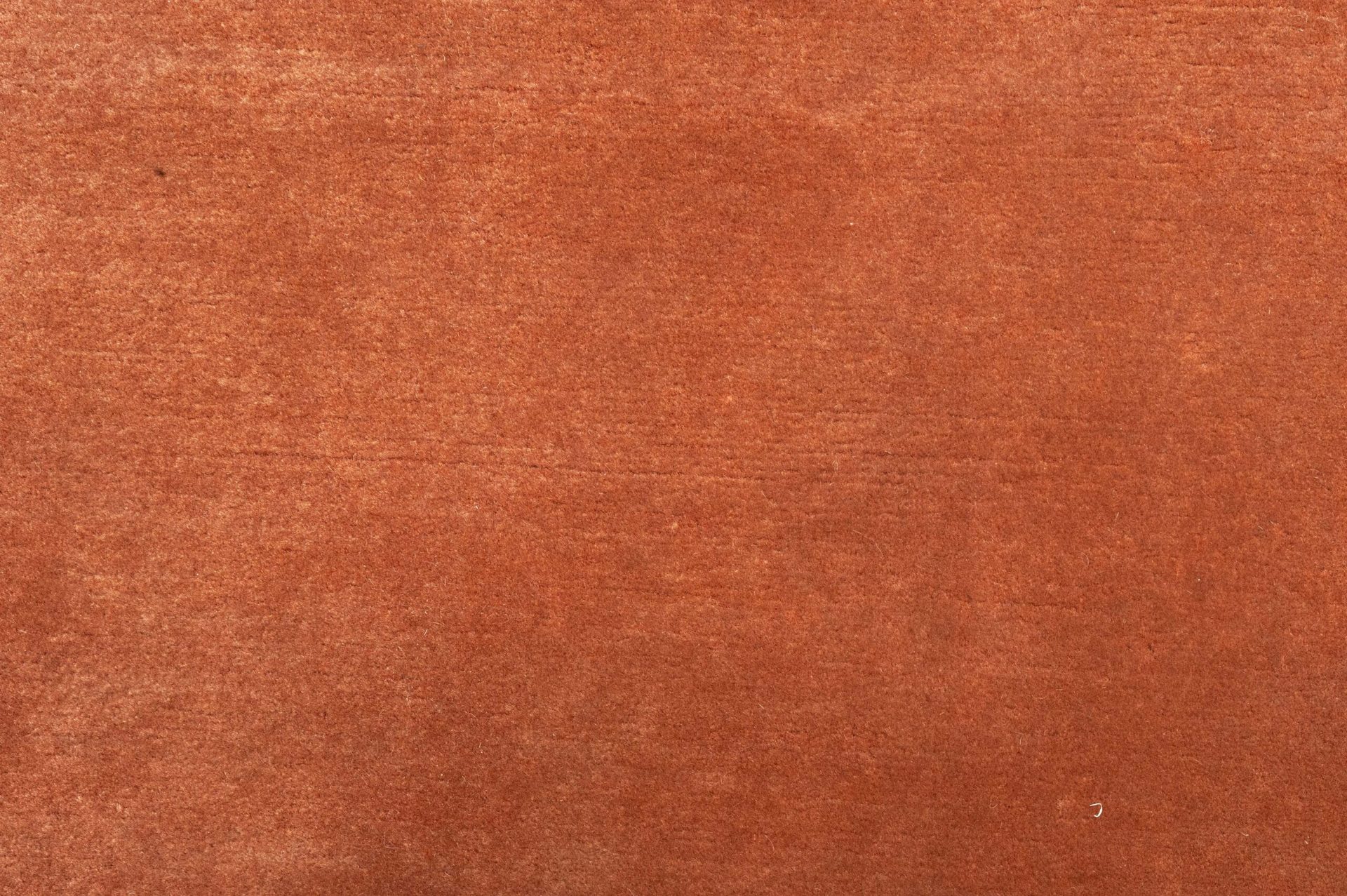 Tappeto Nepal Plain 302x204cm Dettaglio